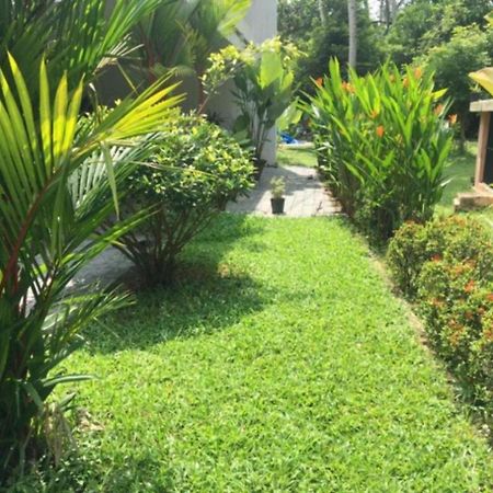White Butterfly - A Countryside Homestay Thiruvananthapuram Bagian luar foto