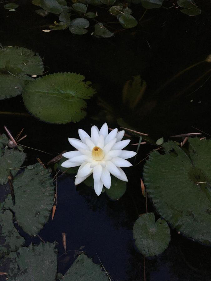 White Butterfly - A Countryside Homestay Thiruvananthapuram Bagian luar foto